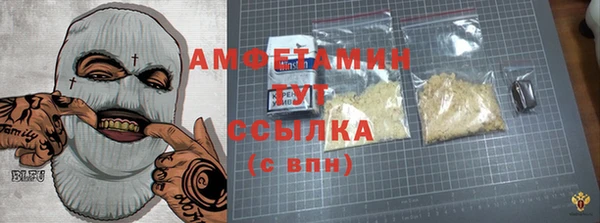индика Переславль-Залесский