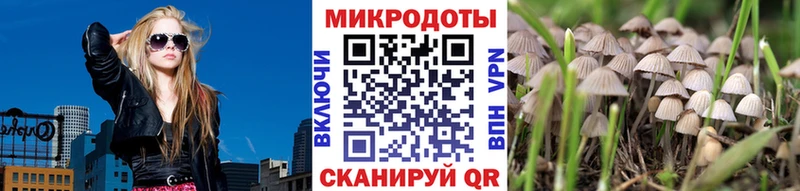 Псилоцибиновые грибы Psilocybe  сайты даркнета телеграм  Пересвет 